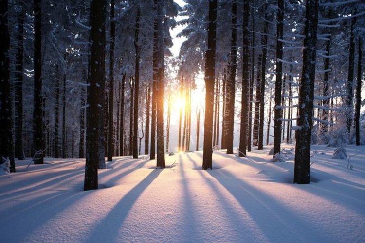 Най-краткият ден от годината и най-дългата нощ