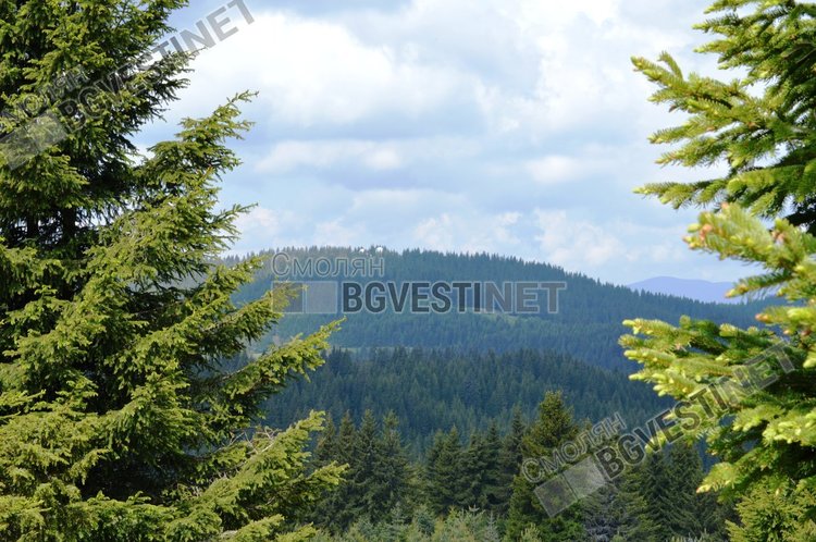 Много слънце и високи температури прогнозират синоптиците