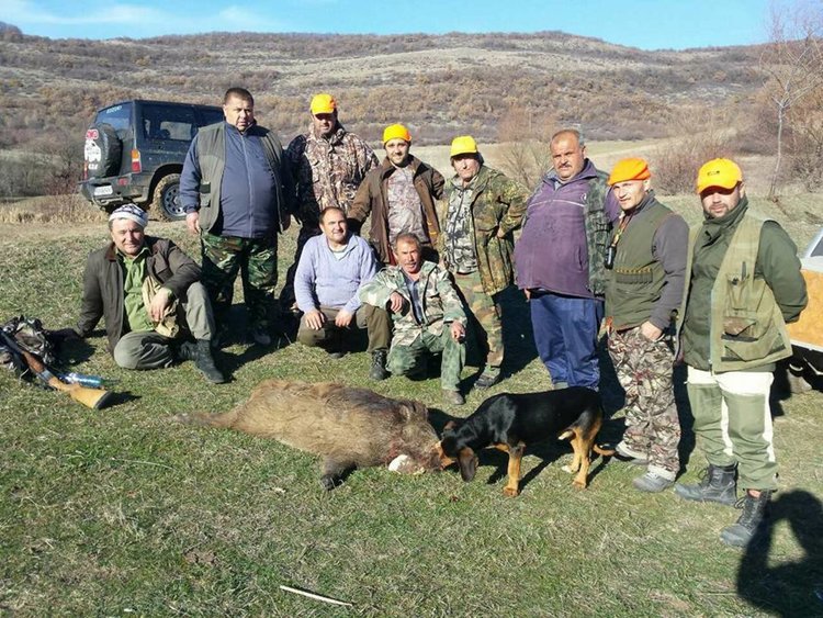 Ловците се включват в борбата с африканската чума