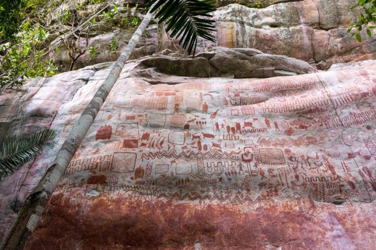 Откриха 13-километрова "картина" от Ледената епоха в джунглата на Амазония