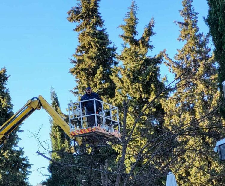 Кастрят дървета в Асеновград по сигнали на граждани