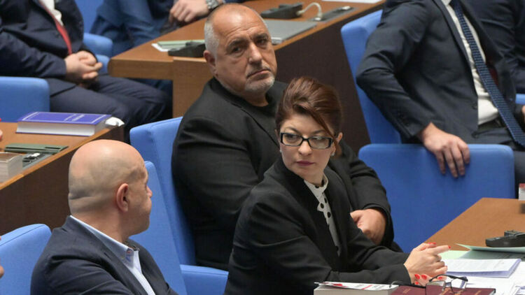 Номинацията на ГЕРБ за Конституционния съд е Десислава Атанасова