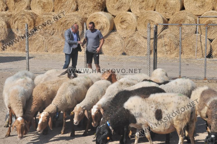 Надеждата се завърна в изгорялата ферма на Иван Янъков от Харманли