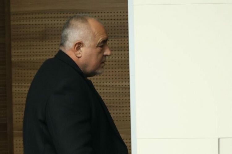 Борисов очаква „Величие“ да влезе в парламента