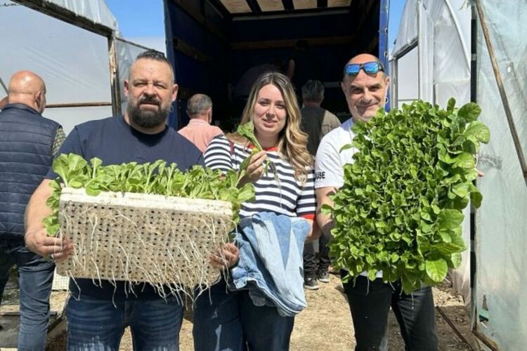 Българско село стана опитно поле за нови сортове тютюн за бездимни цигари