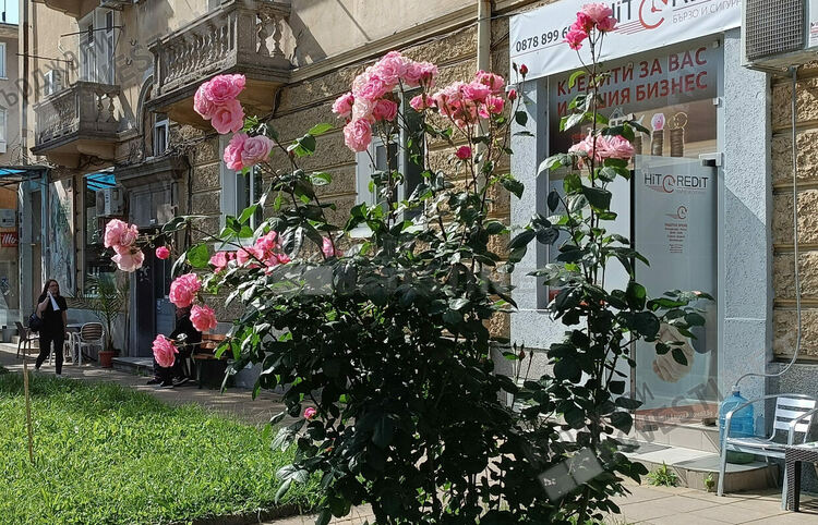 Променлива облачност без валежи днес в Кърджали