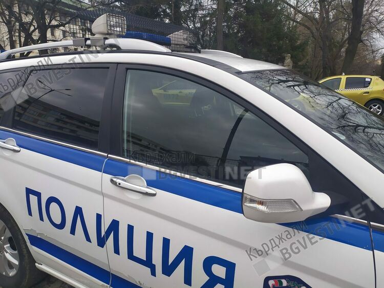 Убиха дворното куче на жена от село Бенковски,смъртта се разследва