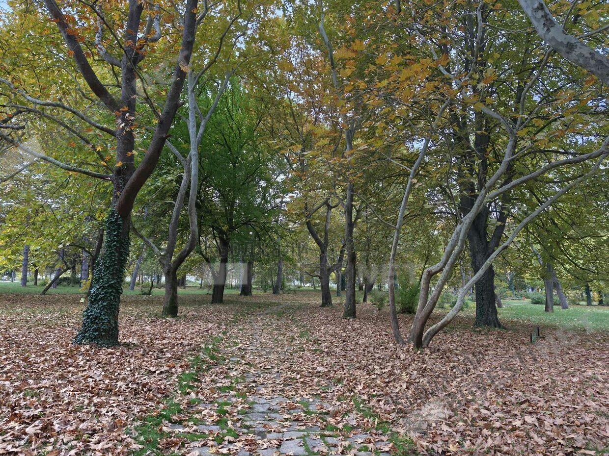 Облачно и ветровито, в Източна България ще вали дъжд