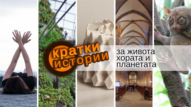 Кратки истории за живота, хората и планетата – Вселена