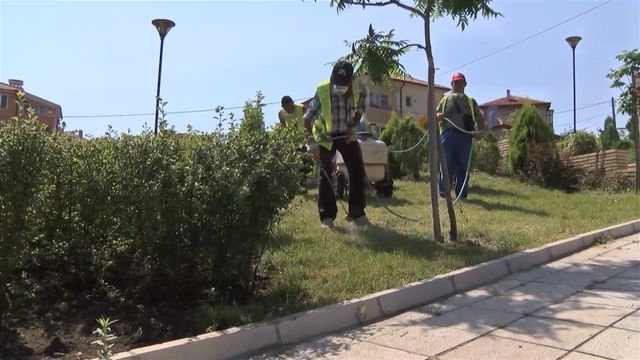 Започва обработката на тревните площи в Димитровград срещу кърлежи