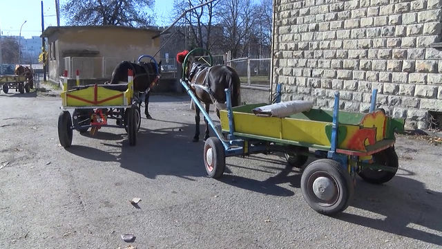 Общинска полиция награди с актове неизрядните водачи на превозни средства с 1 конска сила